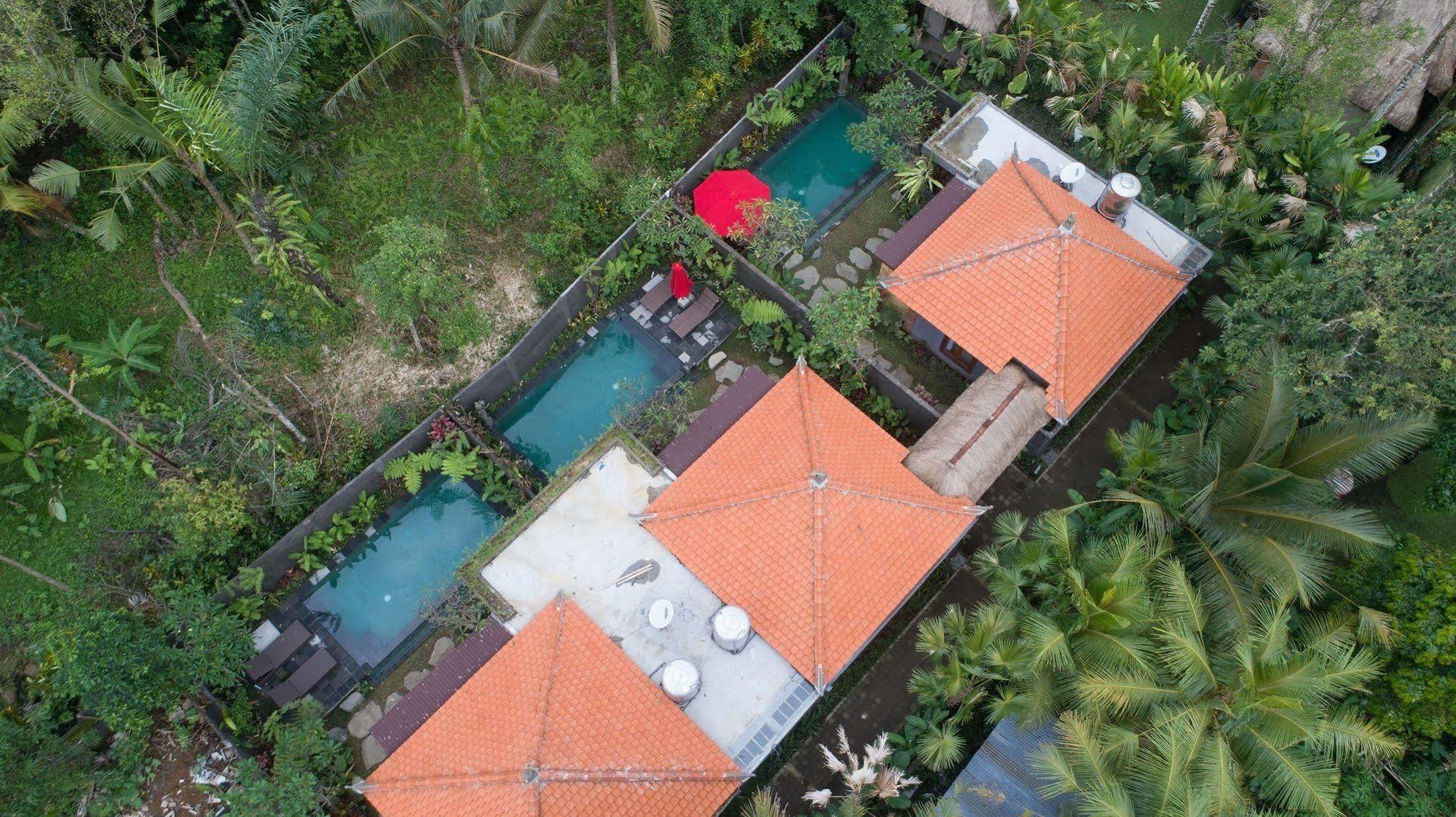 Bunut Garden Luxury Private Villa Ubud Eksteriør billede