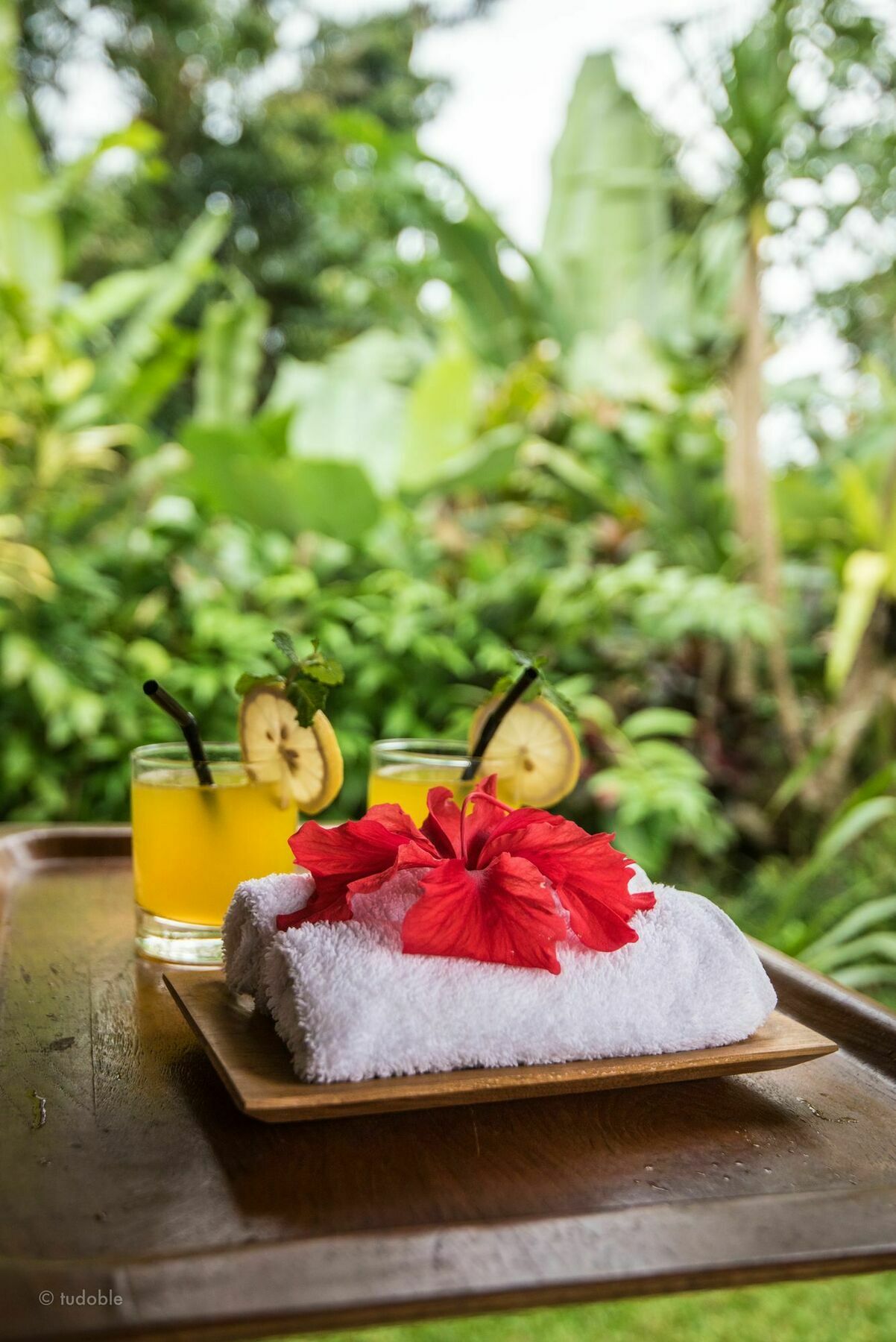 Bunut Garden Luxury Private Villa Ubud Eksteriør billede