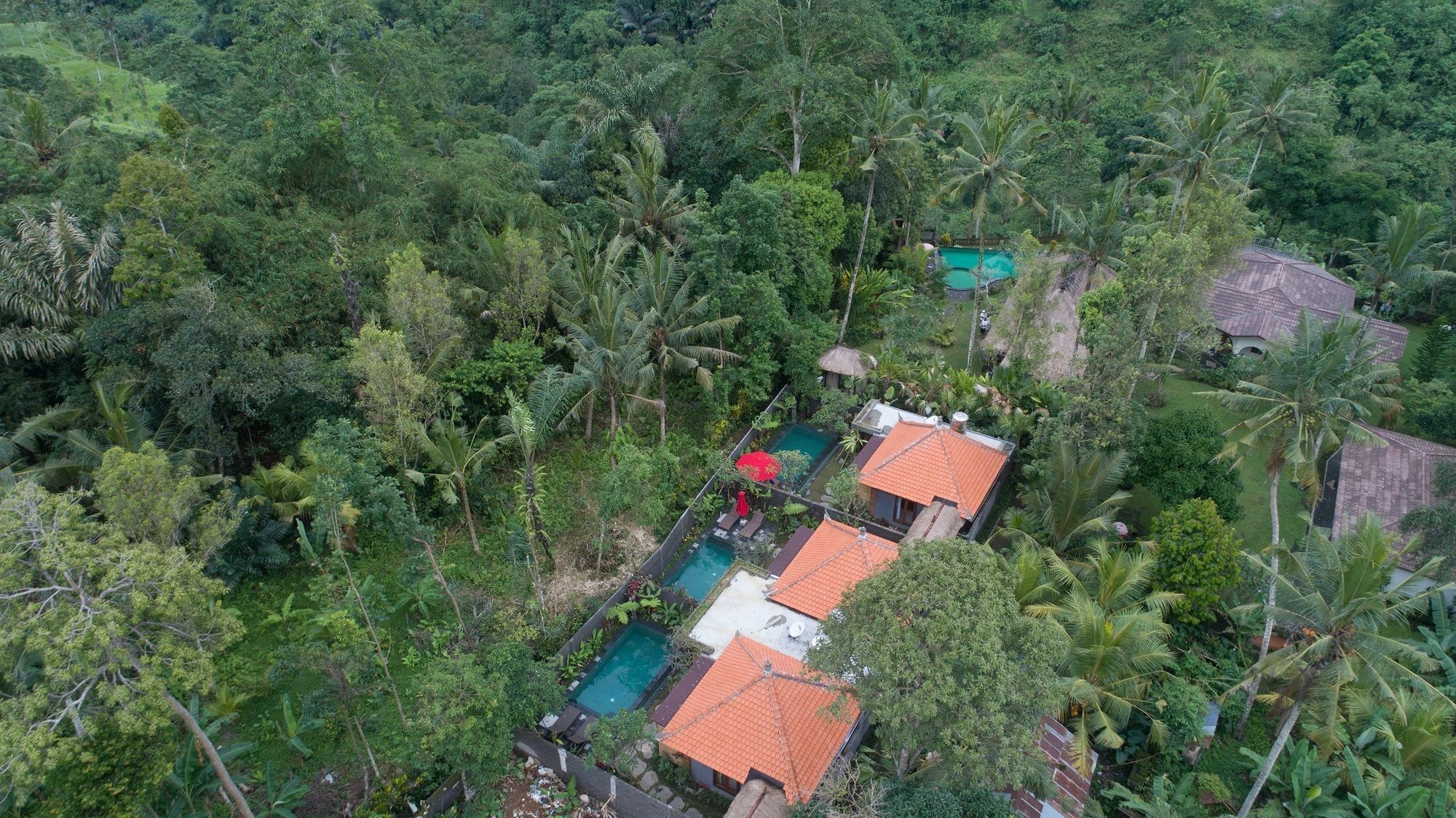 Bunut Garden Luxury Private Villa Ubud Eksteriør billede